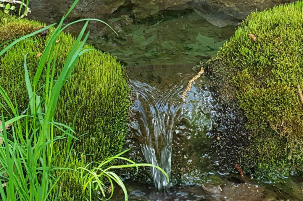 Родники на территории отеля