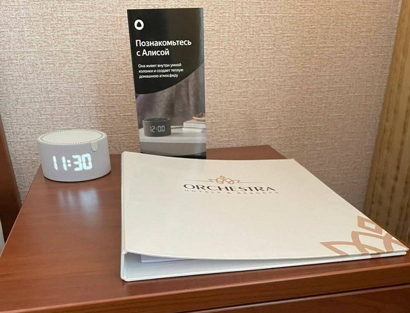 Станция яндекс с Алисой